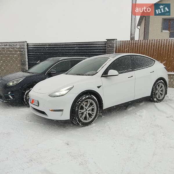 Внедорожник / Кроссовер Tesla Model Y 2021 в Тернополе