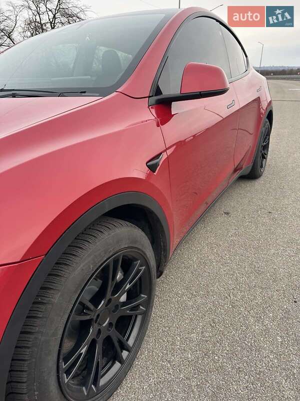 Внедорожник / Кроссовер Tesla Model Y 2021 в Запорожье