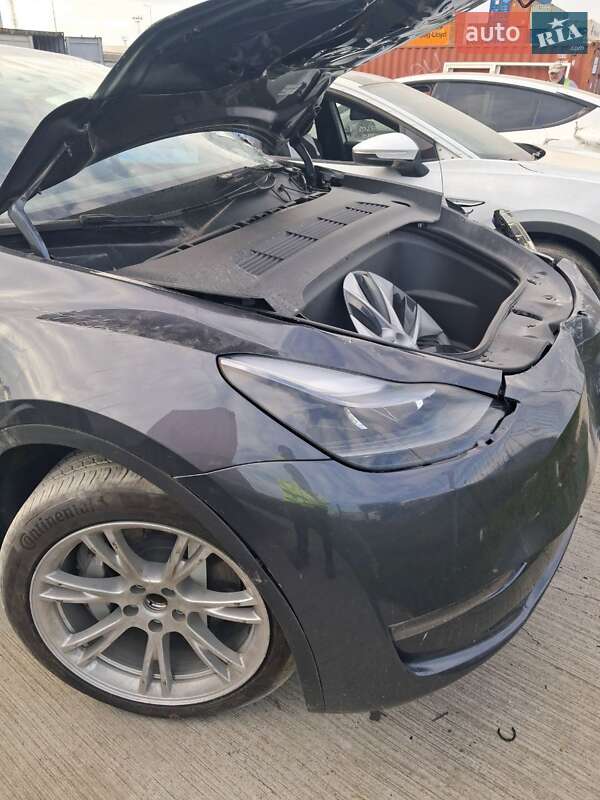Позашляховик / Кросовер Tesla Model Y 2023 в Білій Церкві