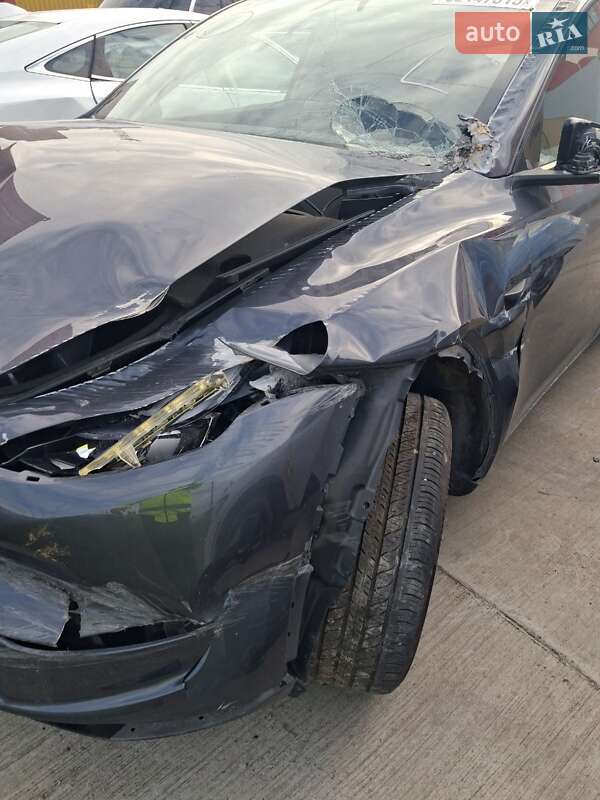Позашляховик / Кросовер Tesla Model Y 2023 в Білій Церкві