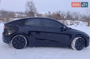 Внедорожник / Кроссовер Tesla Model Y 2024 в Фастове