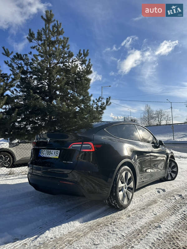 Позашляховик / Кросовер Tesla Model Y 2024 в Львові