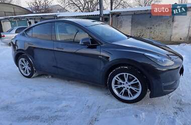 Внедорожник / Кроссовер Tesla Model Y 2024 в Днепре