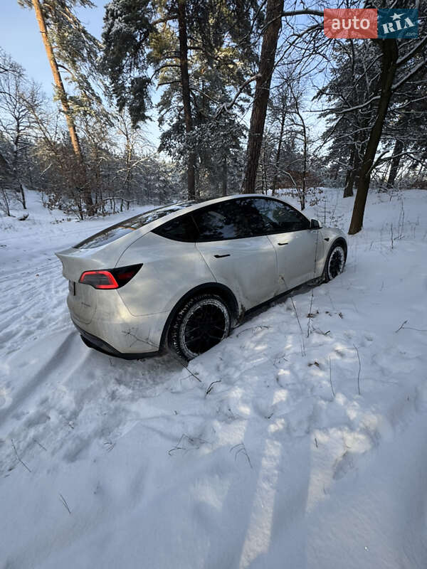 Внедорожник / Кроссовер Tesla Model Y 2021 в Черкассах