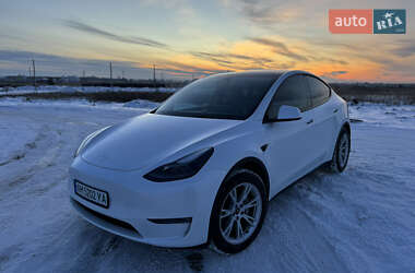 Позашляховик / Кросовер Tesla Model Y 2023 в Києві