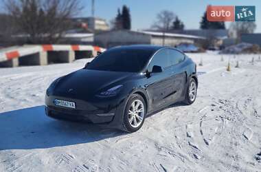 Внедорожник / Кроссовер Tesla Model Y 2021 в Сумах