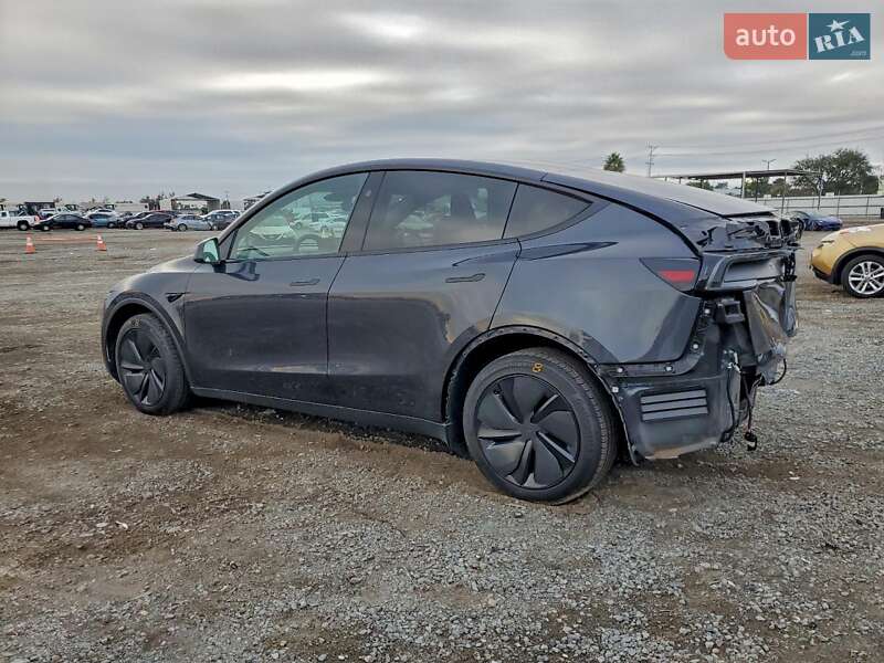 Внедорожник / Кроссовер Tesla Model Y 2025 в Киеве