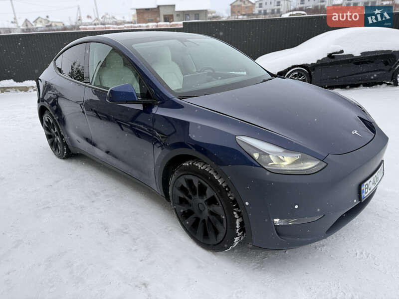 2021 Tesla Model Y, VIN 5YJYGDEE2MF306859:plate — фото 1 (autoria)