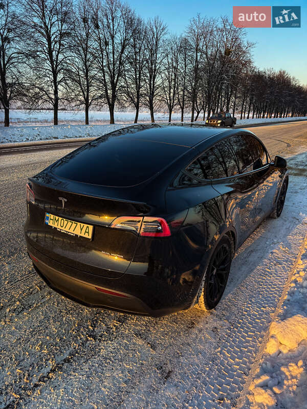 Позашляховик / Кросовер Tesla Model Y 2023 в Києві