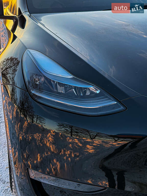 Позашляховик / Кросовер Tesla Model Y 2023 в Києві