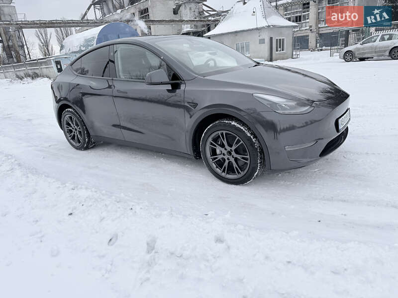 Внедорожник / Кроссовер Tesla Model Y 2025 в Калиновке