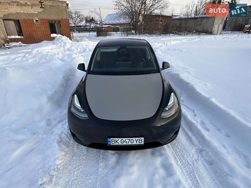 Внедорожник / Кроссовер Tesla Model Y 2024 в Сарнах