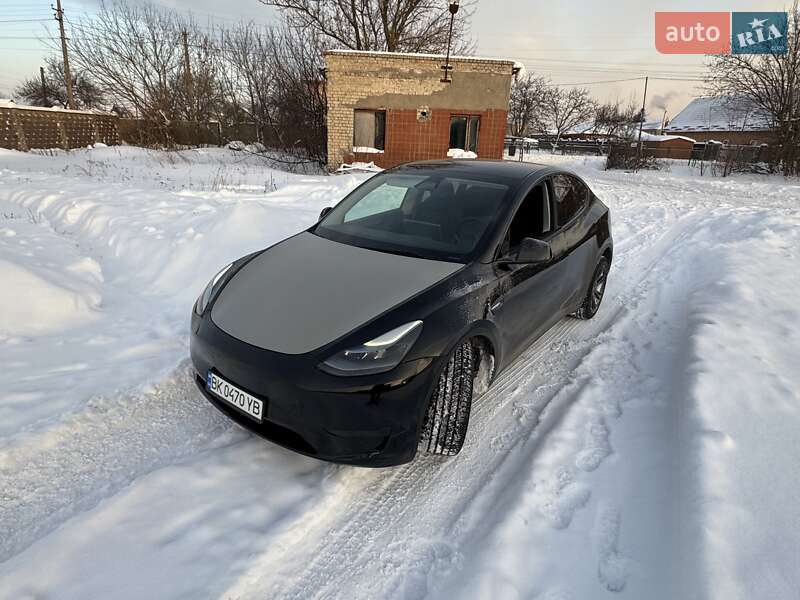 Внедорожник / Кроссовер Tesla Model Y 2024 в Сарнах