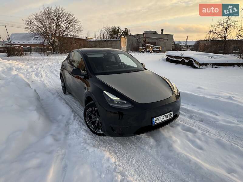 Внедорожник / Кроссовер Tesla Model Y 2024 в Сарнах