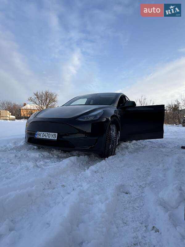 Внедорожник / Кроссовер Tesla Model Y 2024 в Сарнах