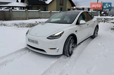 Внедорожник / Кроссовер Tesla Model Y 2021 в Черновцах