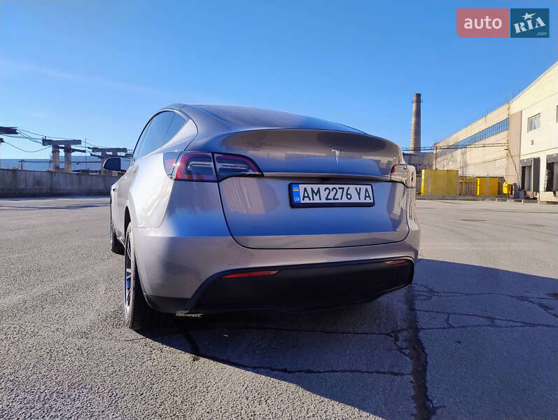Внедорожник / Кроссовер Tesla Model Y 2024 в Житомире
