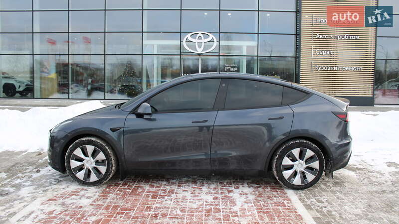 Внедорожник / Кроссовер Tesla Model Y 2021 в Черкассах