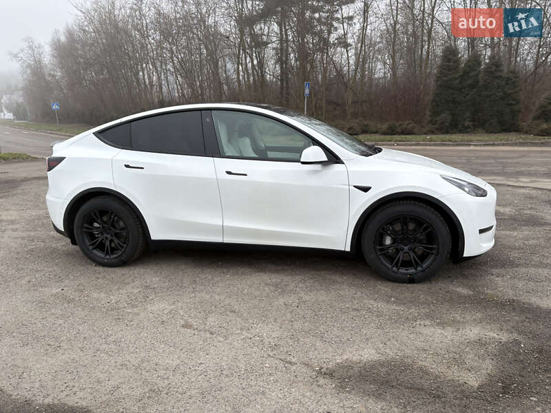 Позашляховик / Кросовер Tesla Model Y 2021 в Львові