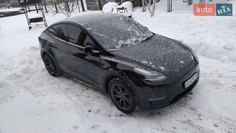 Внедорожник / Кроссовер Tesla Model Y 2024 в Житомире