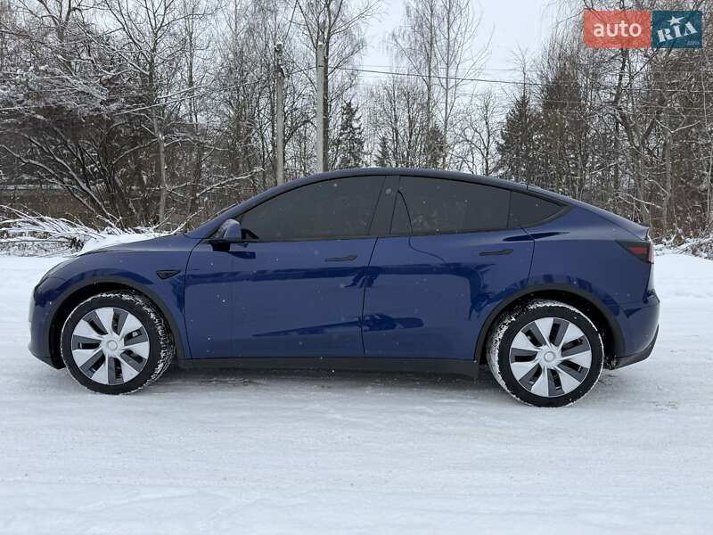 Внедорожник / Кроссовер Tesla Model Y 2023 в Звягеле