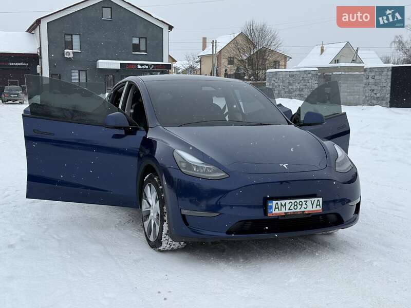 Внедорожник / Кроссовер Tesla Model Y 2023 в Звягеле