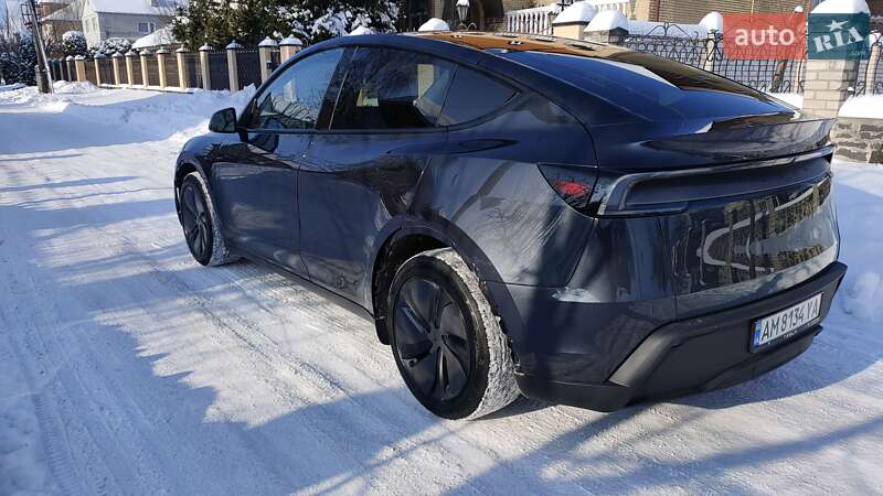 2025 Tesla Model Y, VIN 7SAYGDEE7TF344315:plate — photo 1 (autoria)