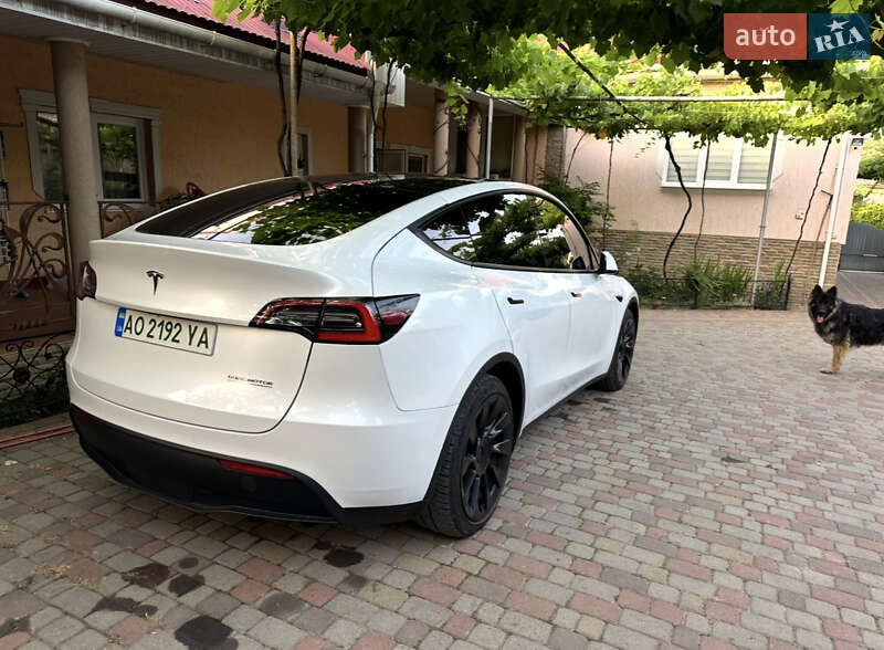 Внедорожник / Кроссовер Tesla Model Y 2021 в Ужгороде