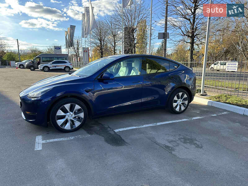 Внедорожник / Кроссовер Tesla Model Y 2021 в Житомире