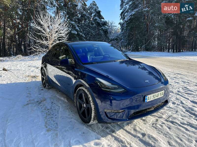 2021 Tesla Model Y, VIN 5YJYGDEE4MF101270:plate — фото 1 (autoria)