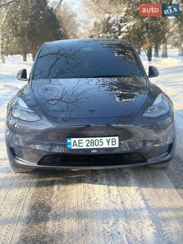 Внедорожник / Кроссовер Tesla Model Y 2024 в Днепре