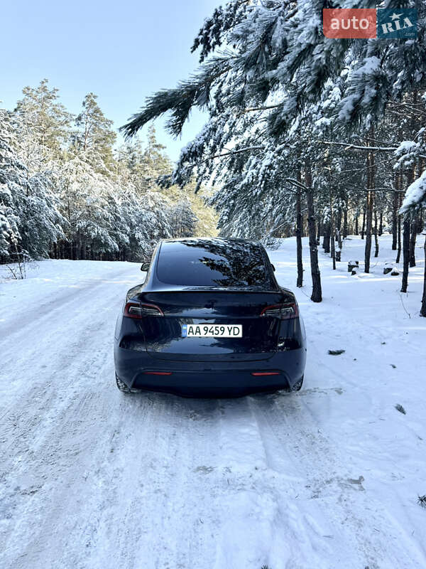 Внедорожник / Кроссовер Tesla Model Y 2024 в Броварах