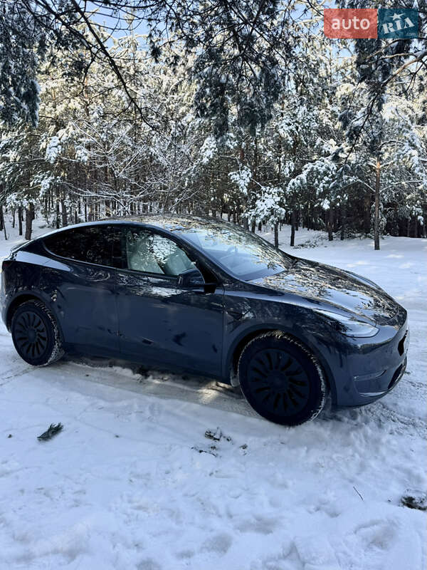 Внедорожник / Кроссовер Tesla Model Y 2024 в Броварах