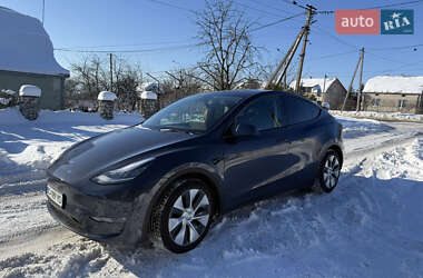 Внедорожник / Кроссовер Tesla Model Y 2021 в Золочеве