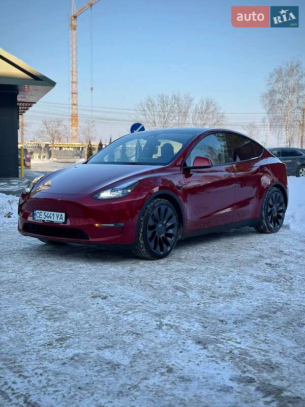 Внедорожник / Кроссовер Tesla Model Y 2024 в Черновцах