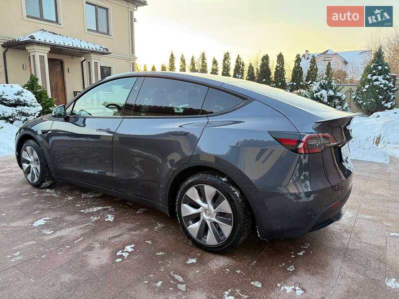 Внедорожник / Кроссовер Tesla Model Y 2023 в Днепре