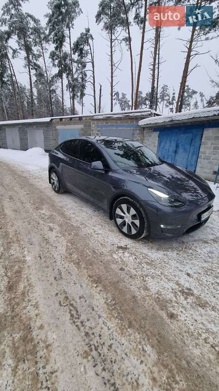 Внедорожник / Кроссовер Tesla Model Y 2023 в Ирпене