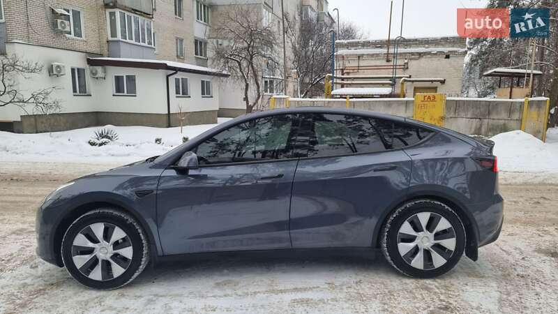 Внедорожник / Кроссовер Tesla Model Y 2023 в Ирпене