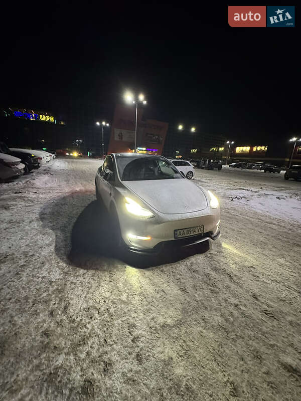 Позашляховик / Кросовер Tesla Model Y 2021 в Борисполі