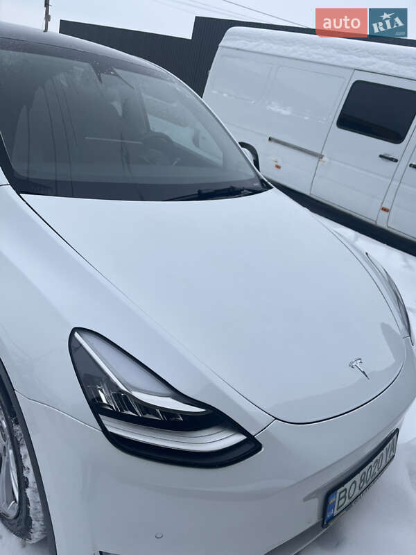 Tesla Model Y 2021 Tesla Model Y 2021