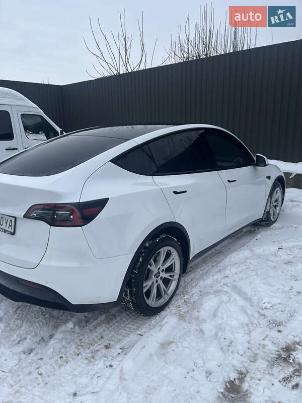 Внедорожник / Кроссовер Tesla Model Y 2021 в Тернополе