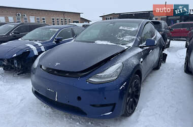 Внедорожник / Кроссовер Tesla Model Y 2021 в Луцке