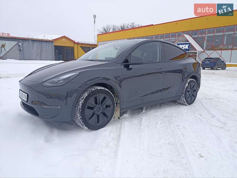 Позашляховик / Кросовер Tesla Model Y 2024 в Житомирі