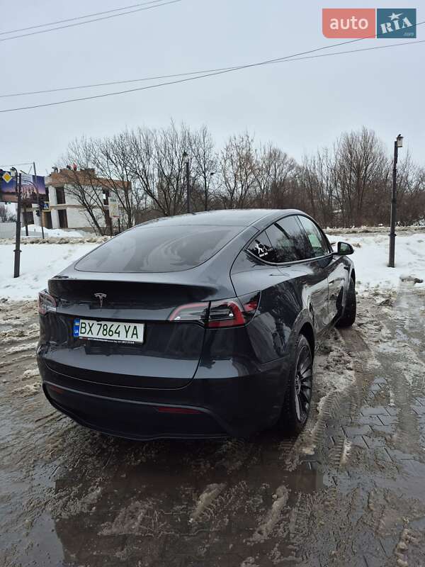 Внедорожник / Кроссовер Tesla Model Y 2024 в Хмельницком
