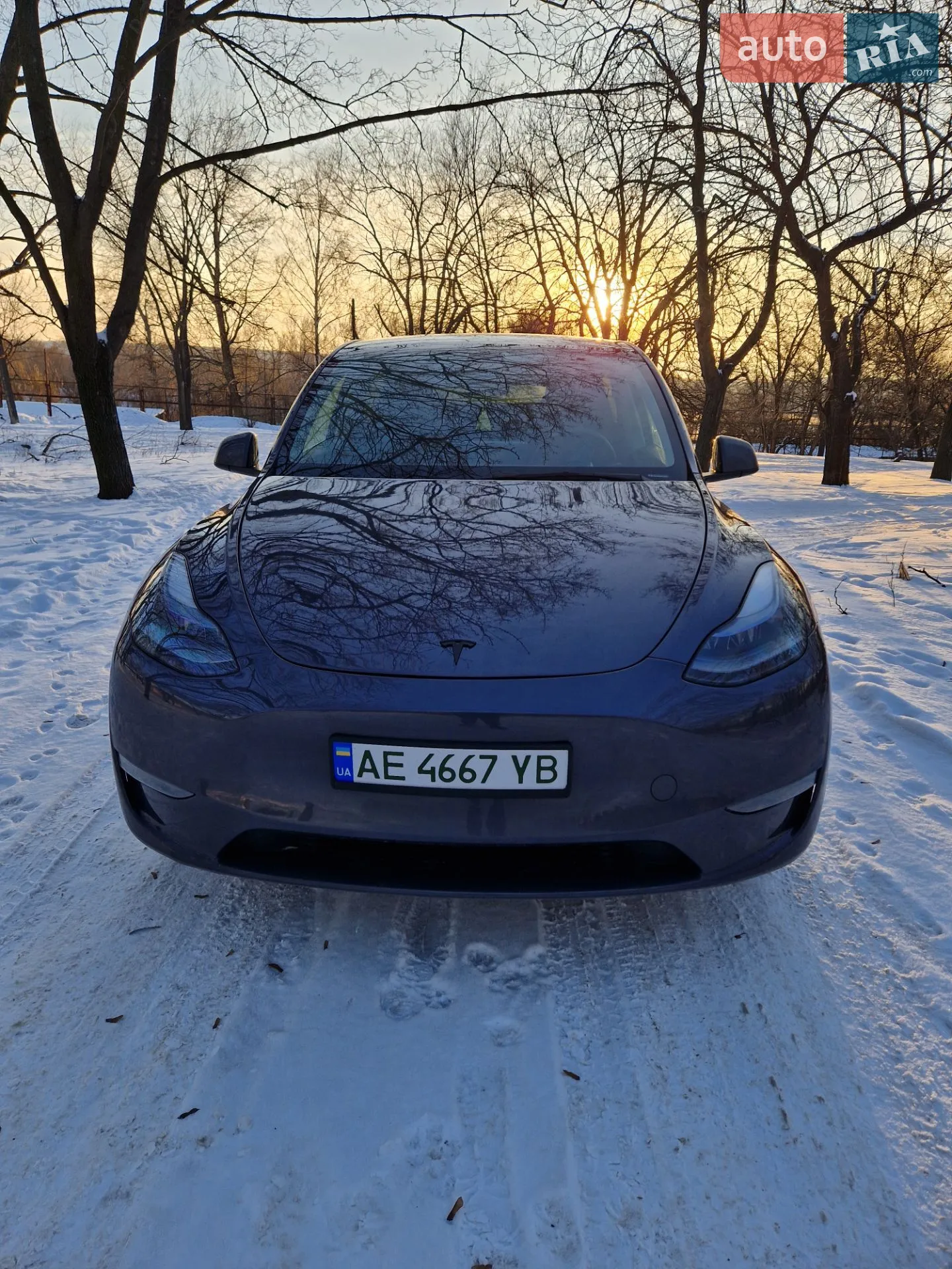 2023 Tesla Model Y - мініатюра 8
