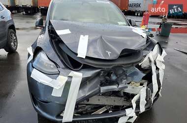 Позашляховик / Кросовер Tesla Model Y 2023 в Запоріжжі