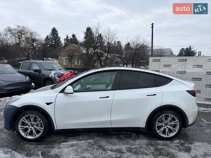 Позашляховик / Кросовер Tesla Model Y 2021 в Луцьку