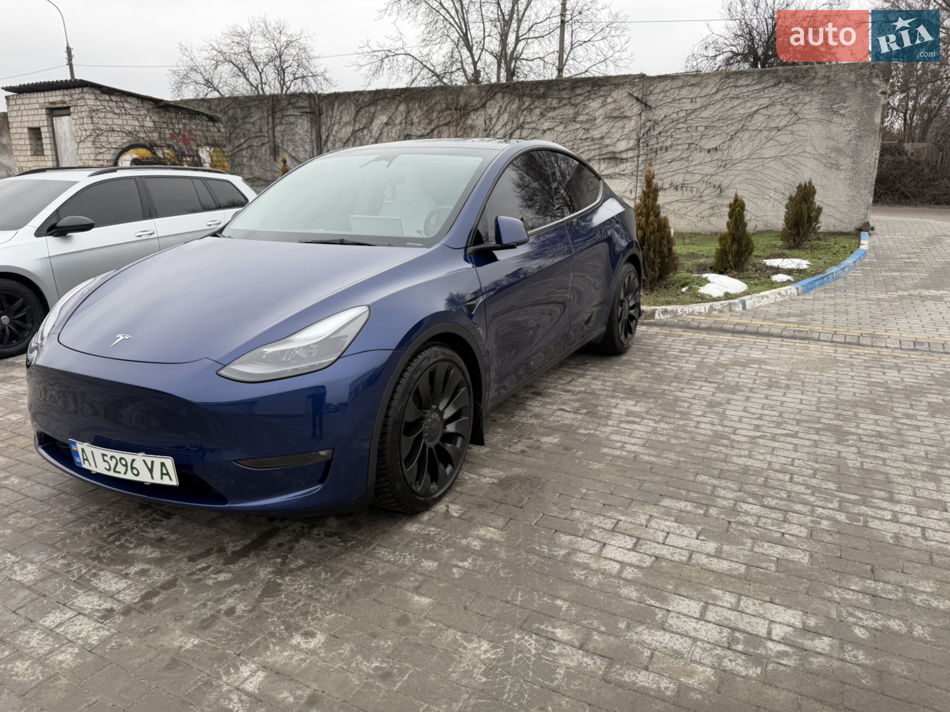 2023 Tesla Model Y - фото 1