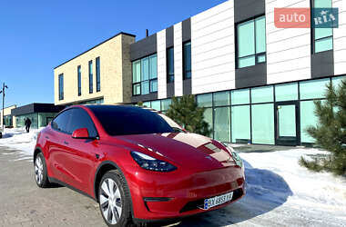 Внедорожник / Кроссовер Tesla Model Y 2023 в Хмельницком