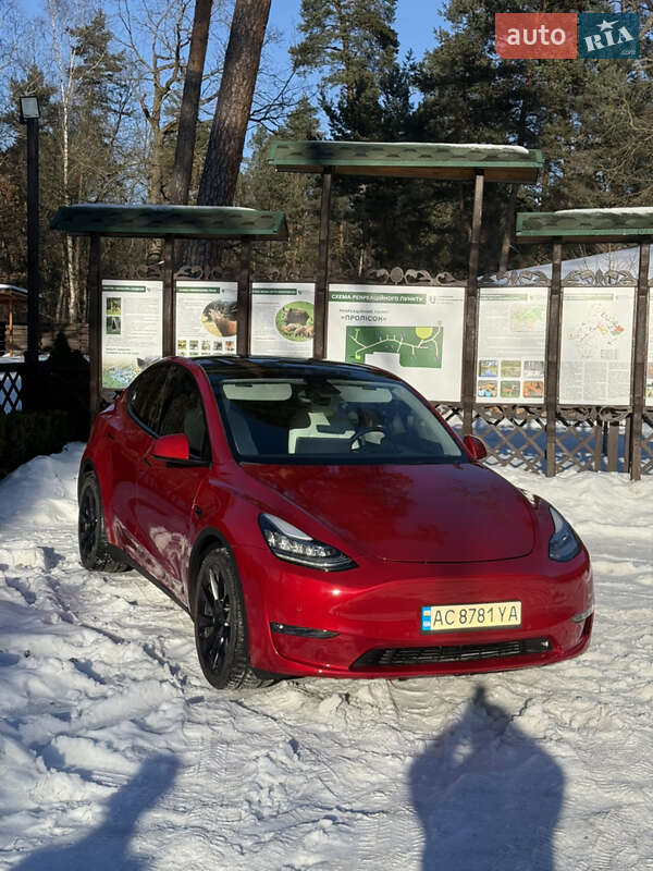 Позашляховик / Кросовер Tesla Model Y 2021 в Луцьку